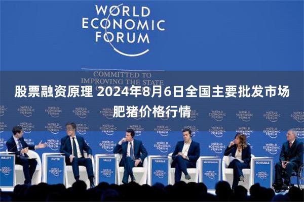 股票融资原理 2024年8月6日全国主要批发市场肥猪价格行情