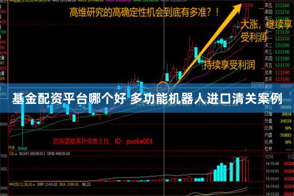 基金配资平台哪个好 多功能机器人进口清关案例