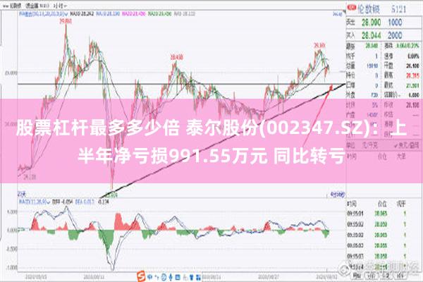 股票杠杆最多多少倍 泰尔股份(002347.SZ)：上半年净亏损991.55万元 同比转亏