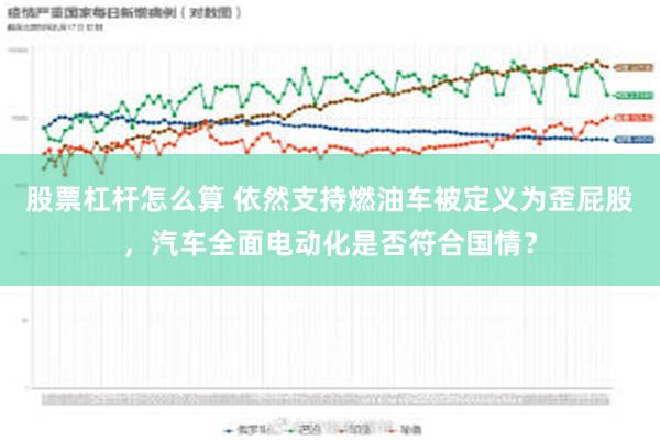 股票杠杆怎么算 依然支持燃油车被定义为歪屁股，汽车全面电动化是否符合国情？