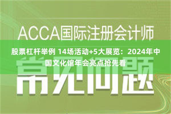 股票杠杆举例 14场活动+5大展览：2024年中国文化馆年会亮点抢先看