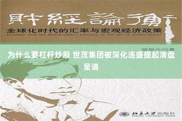 为什么要杠杆炒股 世茂集团被深化连盛提起清盘呈请