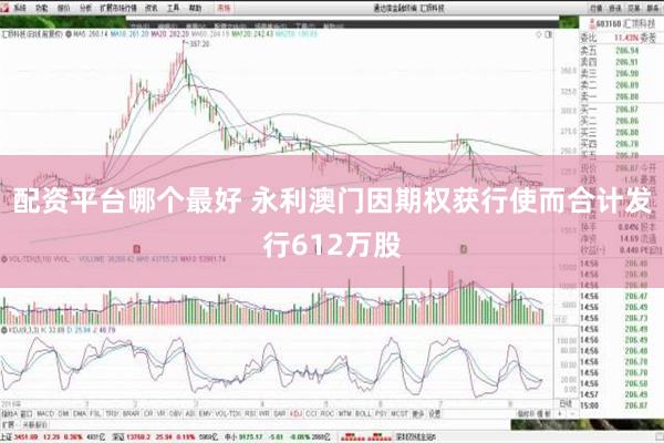 配资平台哪个最好 永利澳门因期权获行使而合计发行612万股