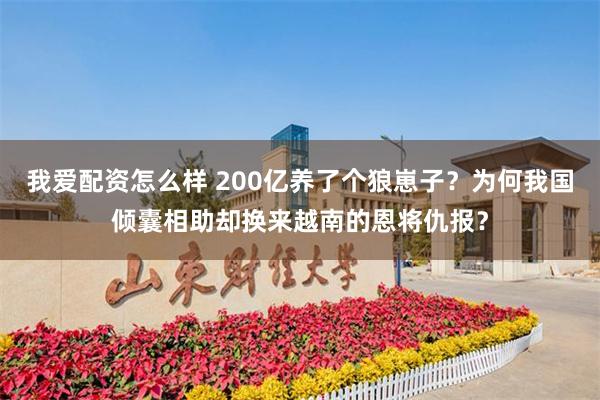 我爱配资怎么样 200亿养了个狼崽子？为何我国倾囊相助却换来越南的恩将仇报？