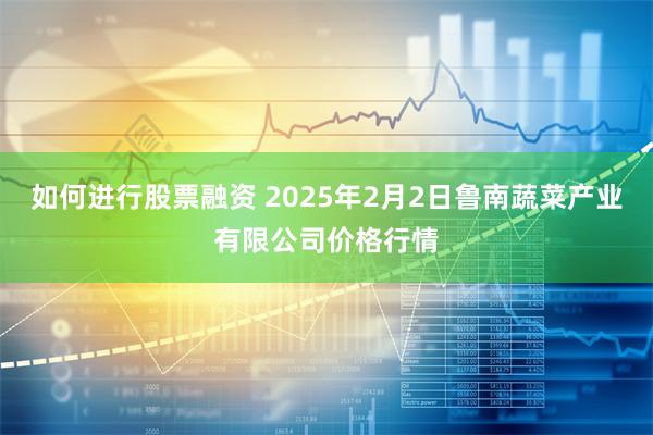 如何进行股票融资 2025年2月2日鲁南蔬菜产业有限公司价格行情