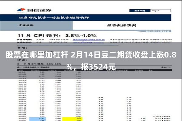 股票在哪里加杠杆 2月14日豆二期货收盘上涨0.8%，报3524元